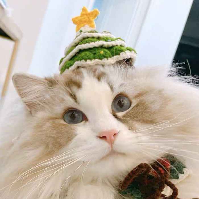 Handmade Pet Christmas Hat for Cats & Small Dogs - Mallora Shop