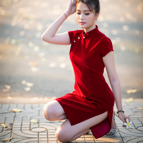 Mode Cheongsam Femme