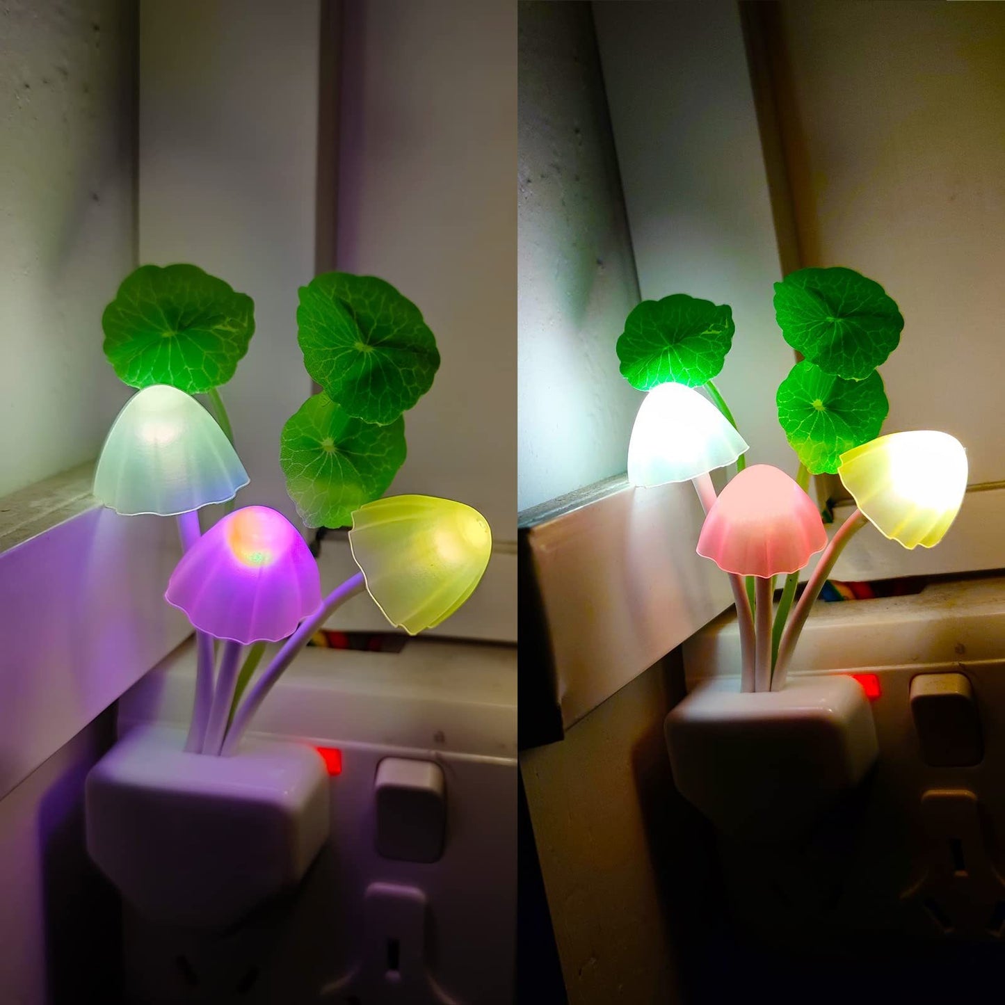 New LED Mushroom Night Light