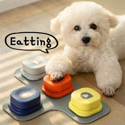 4 Colors Pet Communication Button - Recordable Talking Toy for Enhanced Pet Interaction - Mallora Shop