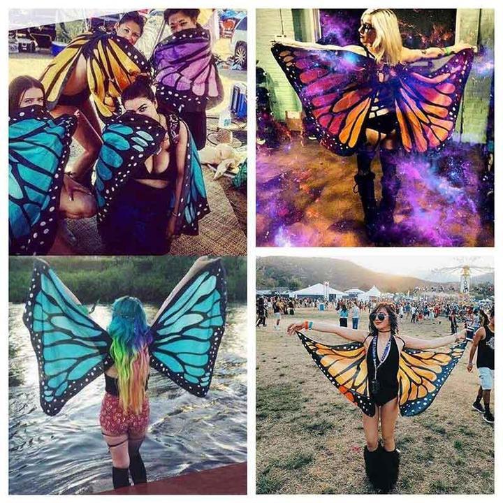 Butterfly Wings