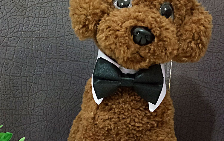 Wearing Bow Tie Collar Jewelry Saliva Towel