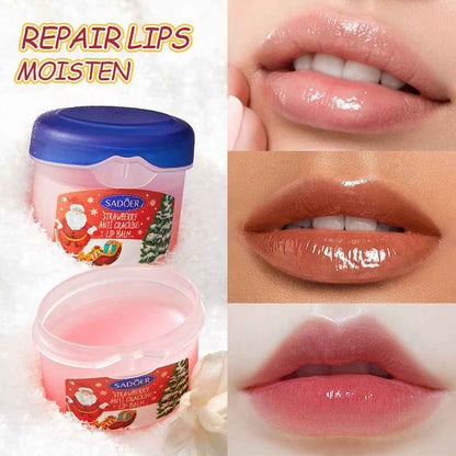 Full English Christmas Nourishing Lip Balm Sets Of Boxes