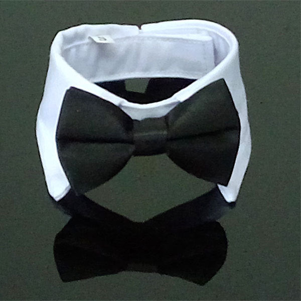 Wearing Bow Tie Collar Jewelry Saliva Towel