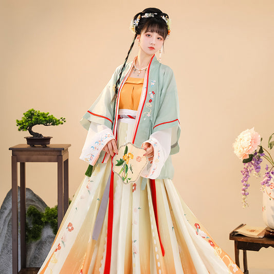 Song Women's Han Chinese Clothing Summer Improvement Ancient Costume