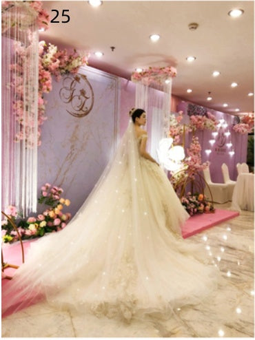 Bridal Wedding Long Tail Luxury Fairy Wedding Veil