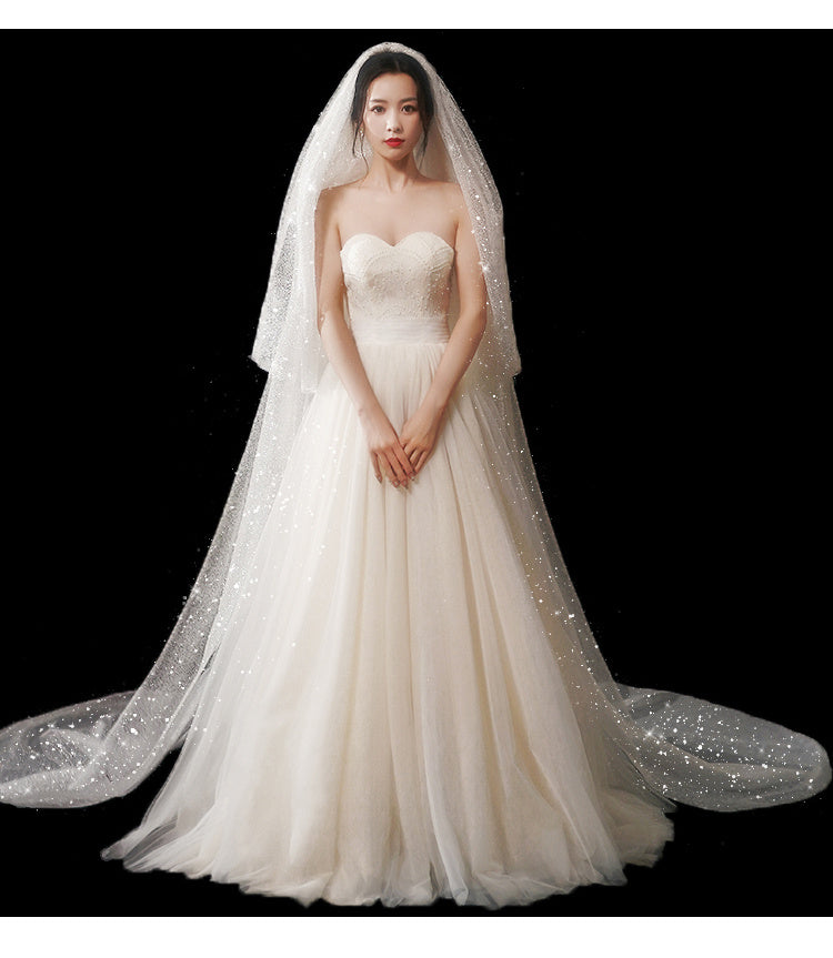 Bridal Wedding Long Tail Luxury Fairy Wedding Veil